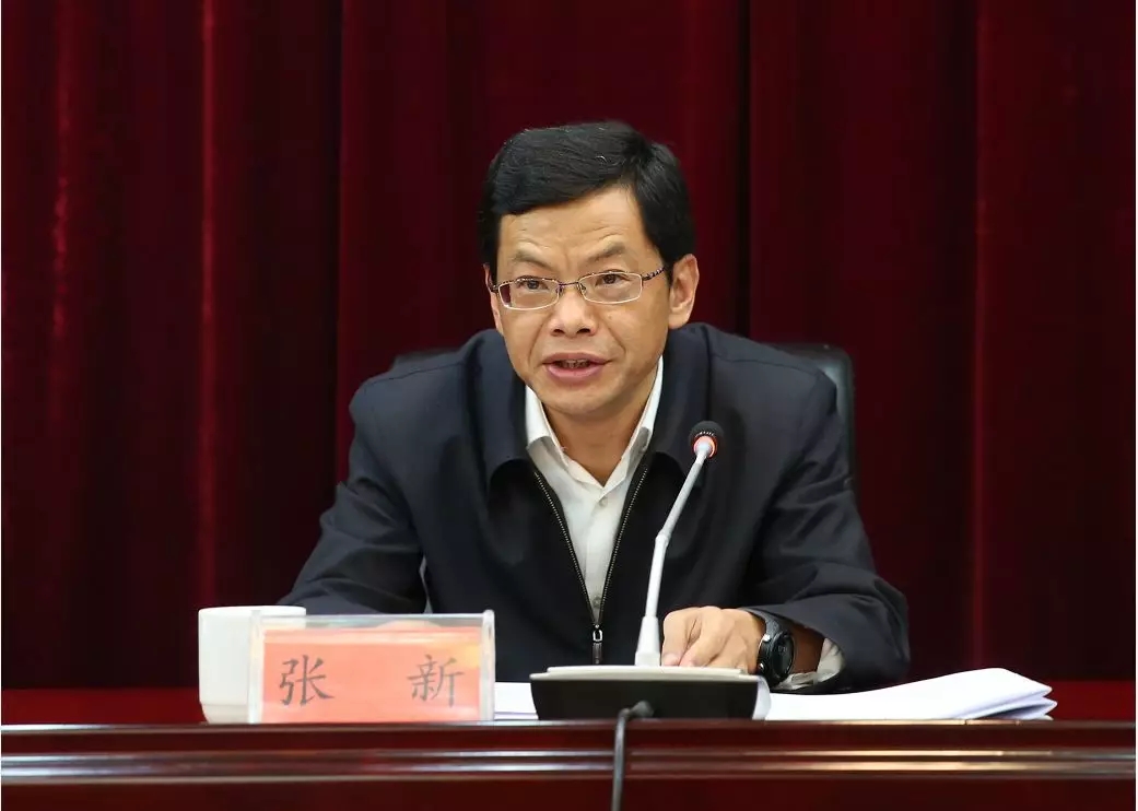 张新副部长讲话