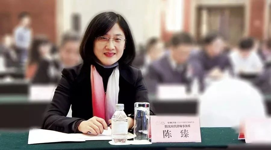 阳光时代创始人,首席合伙人陈臻